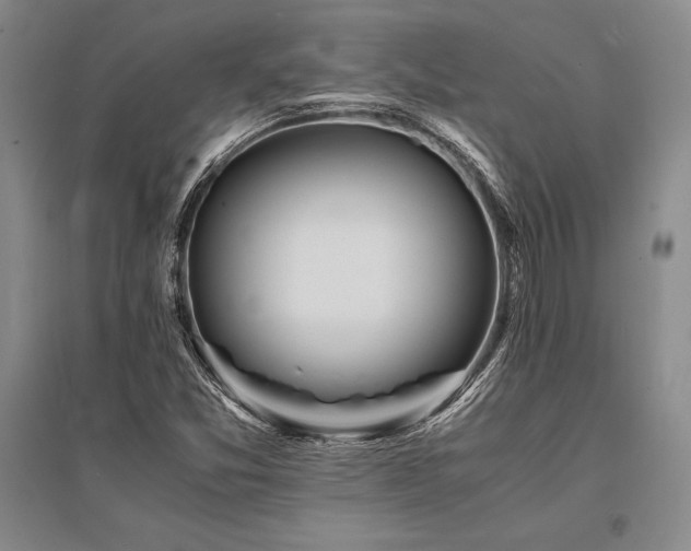 X0000095521357200712141436