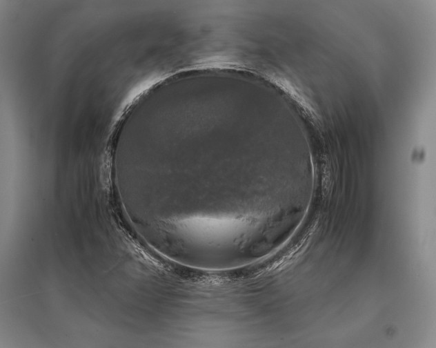 X0000095521358200712141436