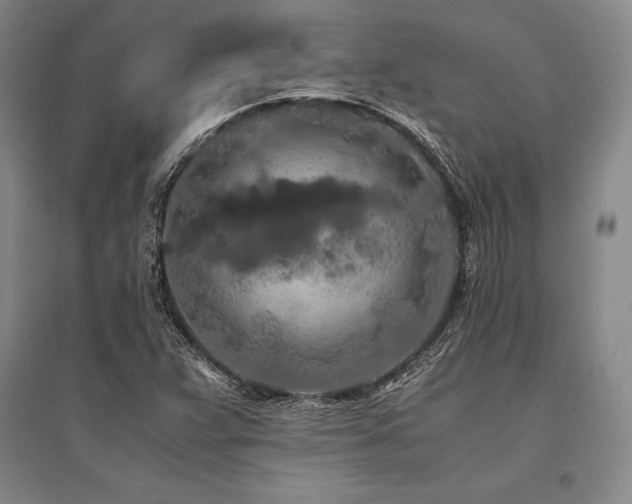 X0000095521359200712141436