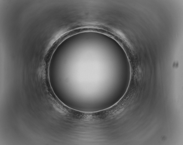 X0000095521360200712141436