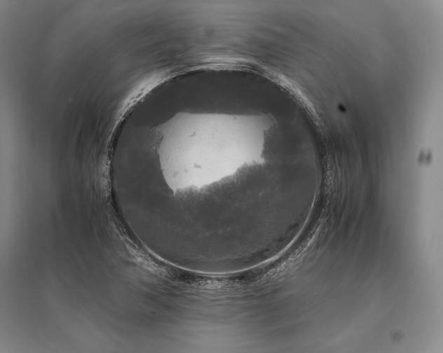 X0000095521362200712141436