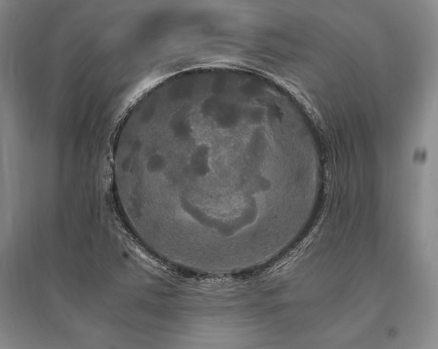X0000095521363200712141436
