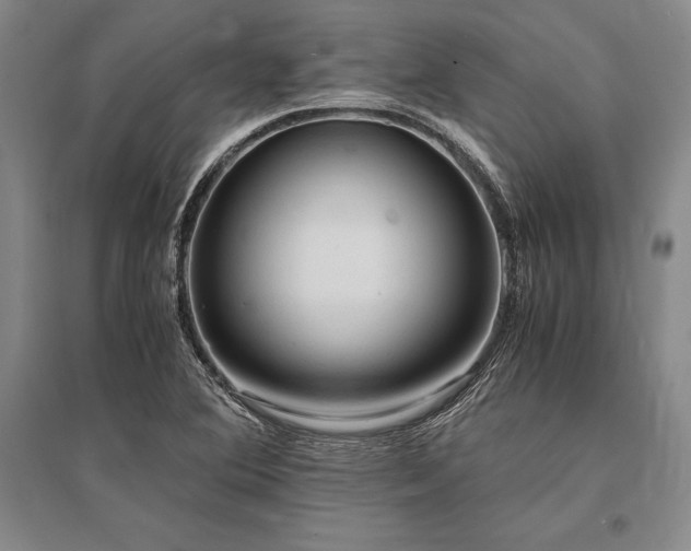 X0000095521364200712141436