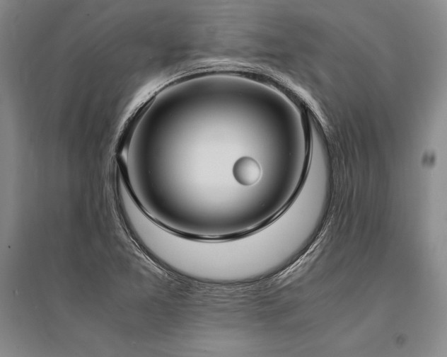 X0000095521365200712141436
