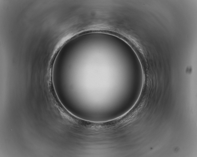 X0000095521366200712141436