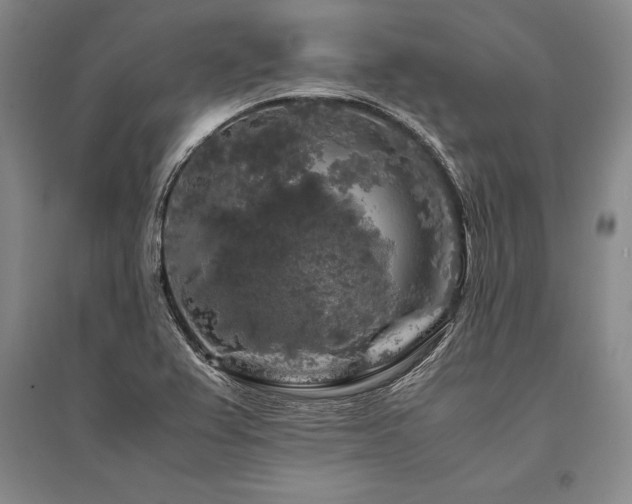 X0000095521367200712141436