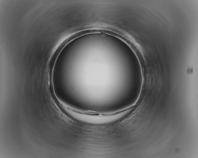 X0000095521368200712141436
