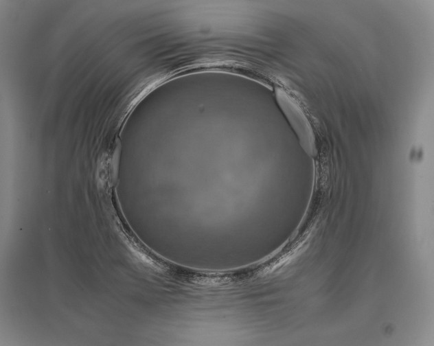 X0000095521369200712141436