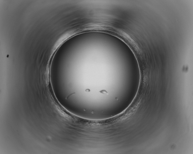 X0000095521370200712141436