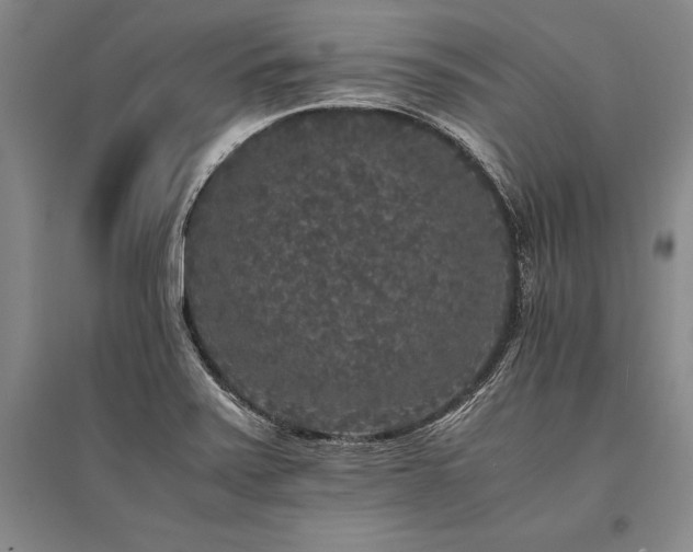 X0000095521371200712141436