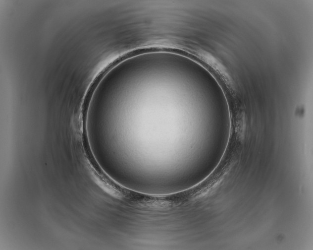 X0000095521372200712141436