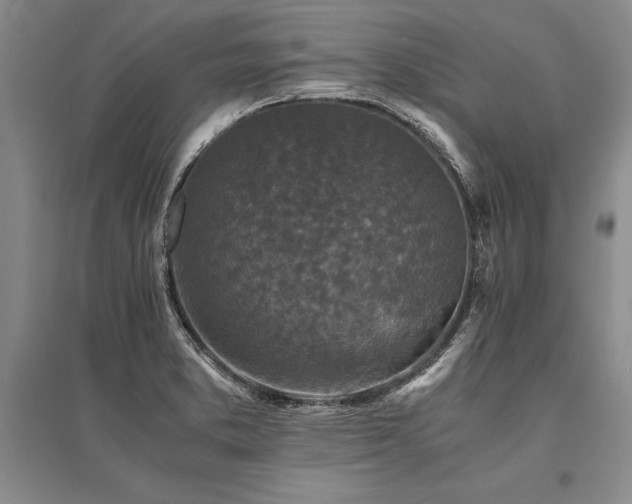 X0000095521373200712141436