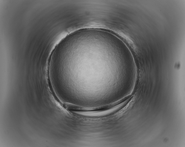 X0000095521374200712141436