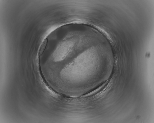 X0000095521375200712141436