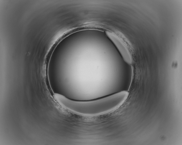 X0000095521376200712141436