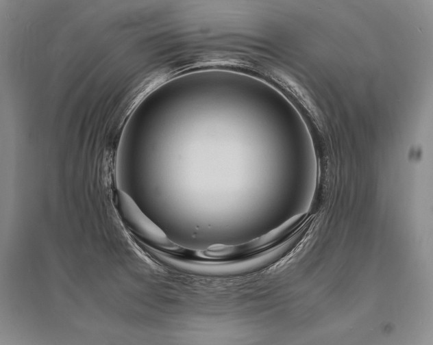X0000095521377200712141436