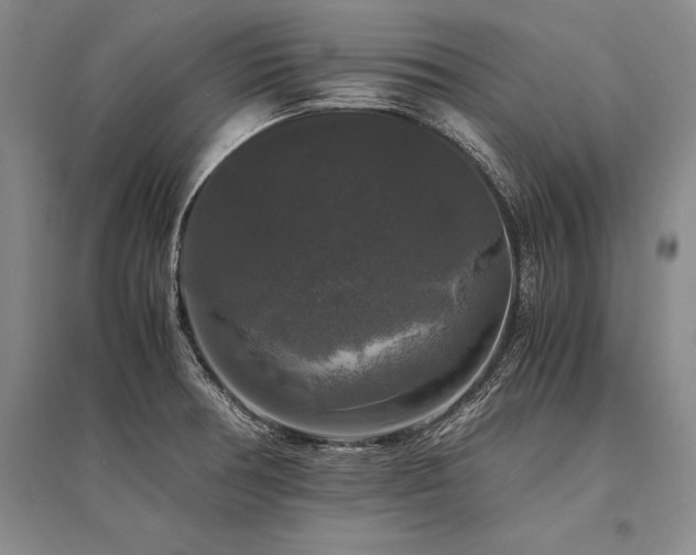 X0000095521378200712141436