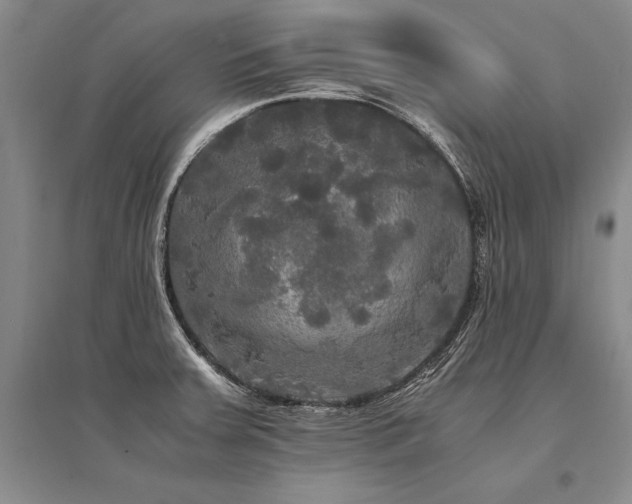 X0000095521379200712141436