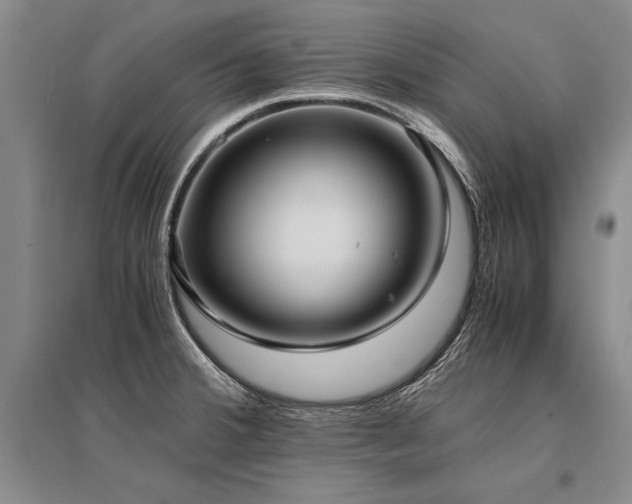 X0000095521380200712141436