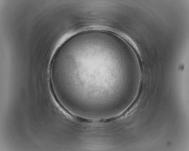 X0000095521381200712141436