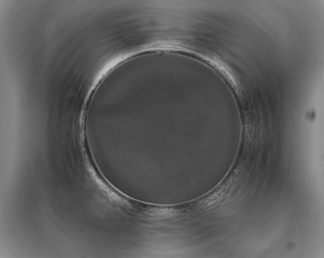 X0000095521382200712141436
