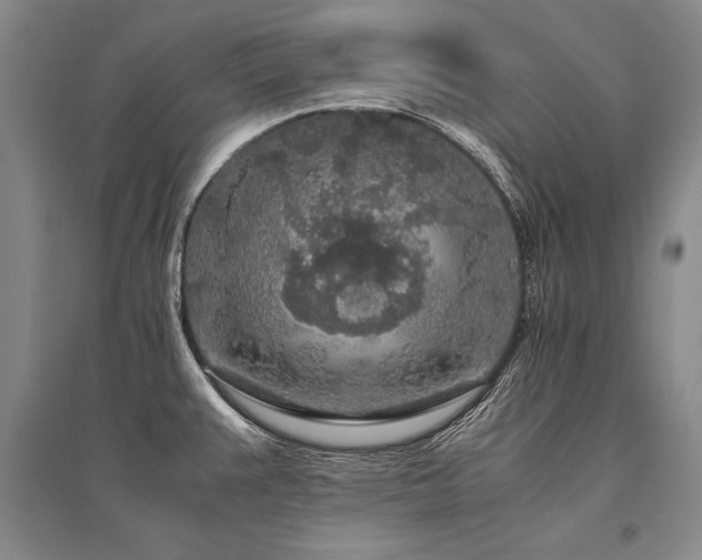 X0000095521383200712141436