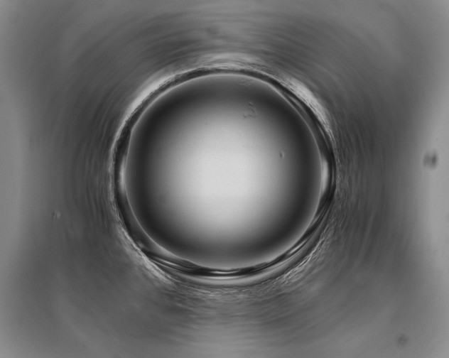 X0000095521384200712141436