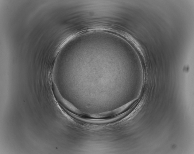 X0000095521385200712141436