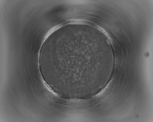 X0000095521386200712141436