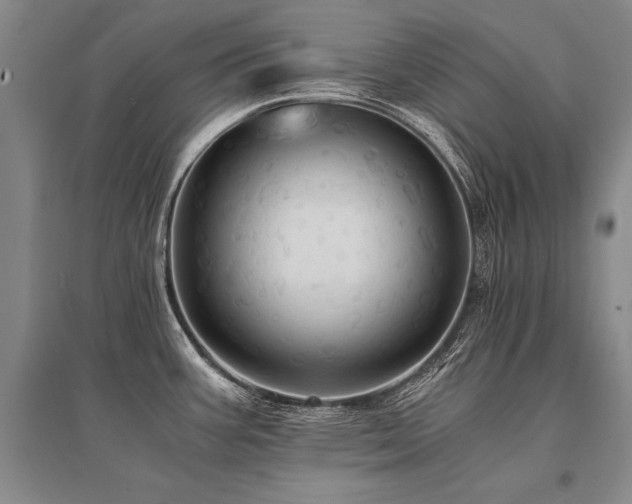 X0000095521387200712141436