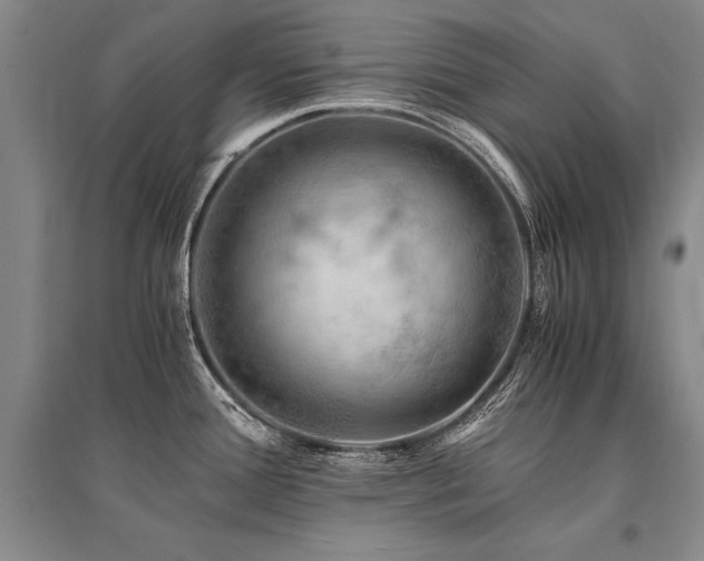 X0000095521388200712141436