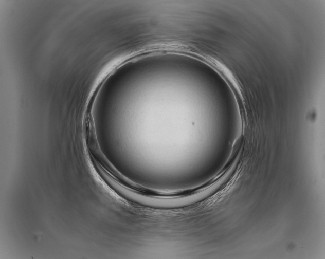 X0000095521389200712141436