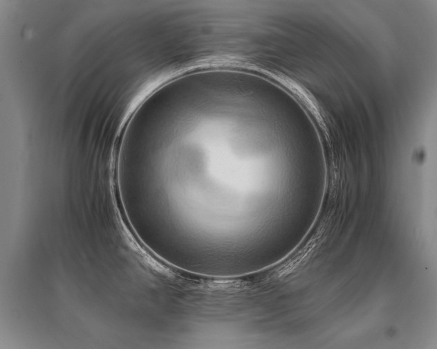 X0000095521390200712141436