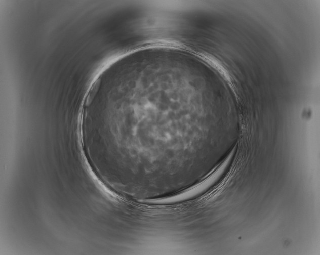 X0000095521391200712141436