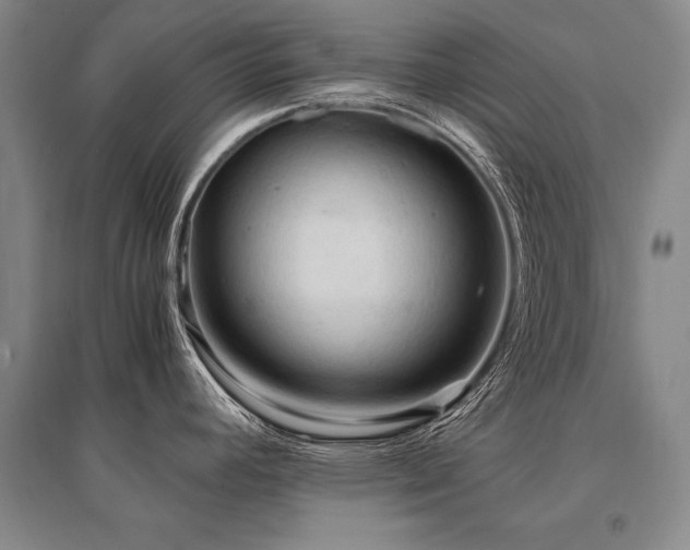 X0000095521392200712141436