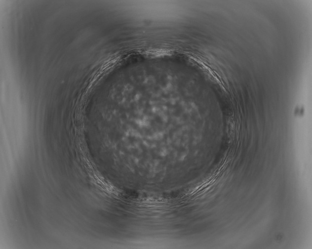 X0000095521393200712141435