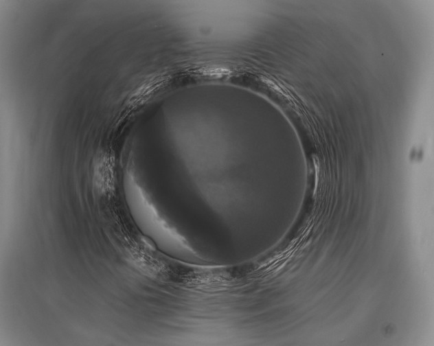 X0000095521394200712141435