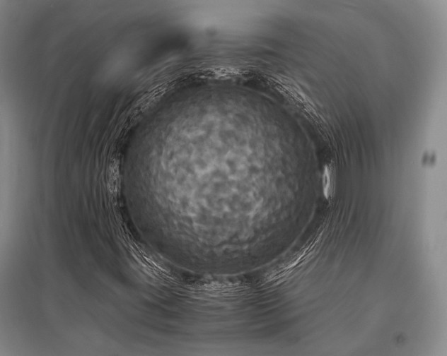X0000095521395200712141435