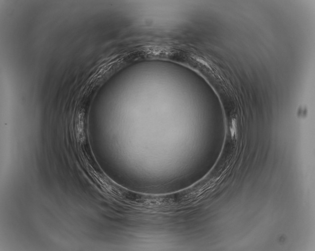 X0000095521396200712141435