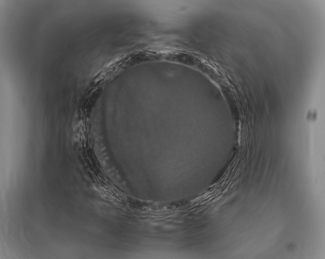 X0000095521397200712141435