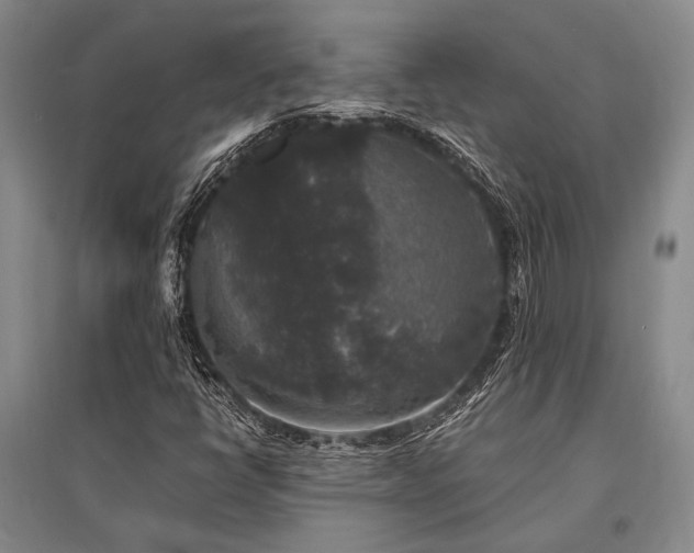 X0000095521398200712141435