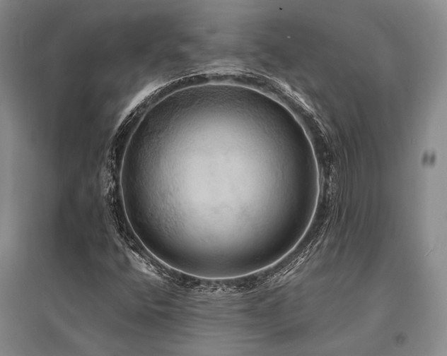 X0000095521400200712141435