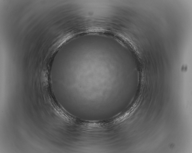 X0000095521401200712141435