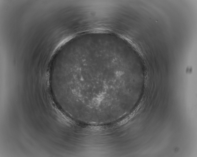 X0000095521402200712141435