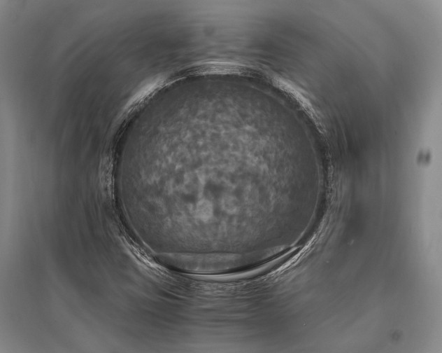X0000095521403200712141435