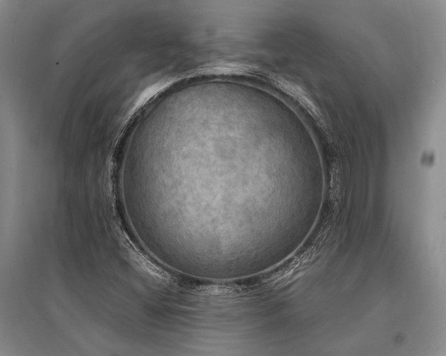X0000095521404200712141435