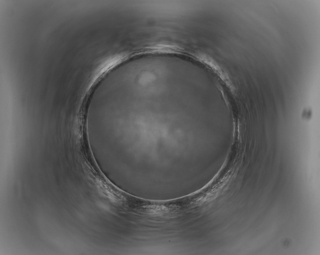 X0000095521405200712141435