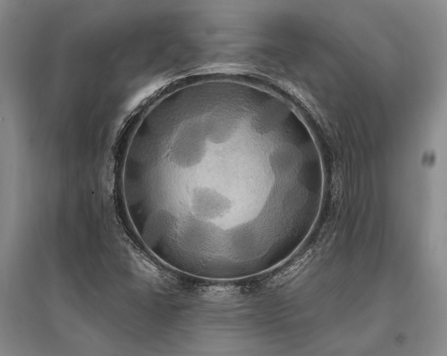 X0000095521406200712141435