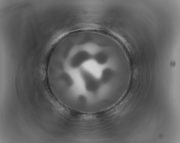 X0000095521407200712141435