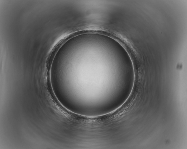 X0000095521408200712141435